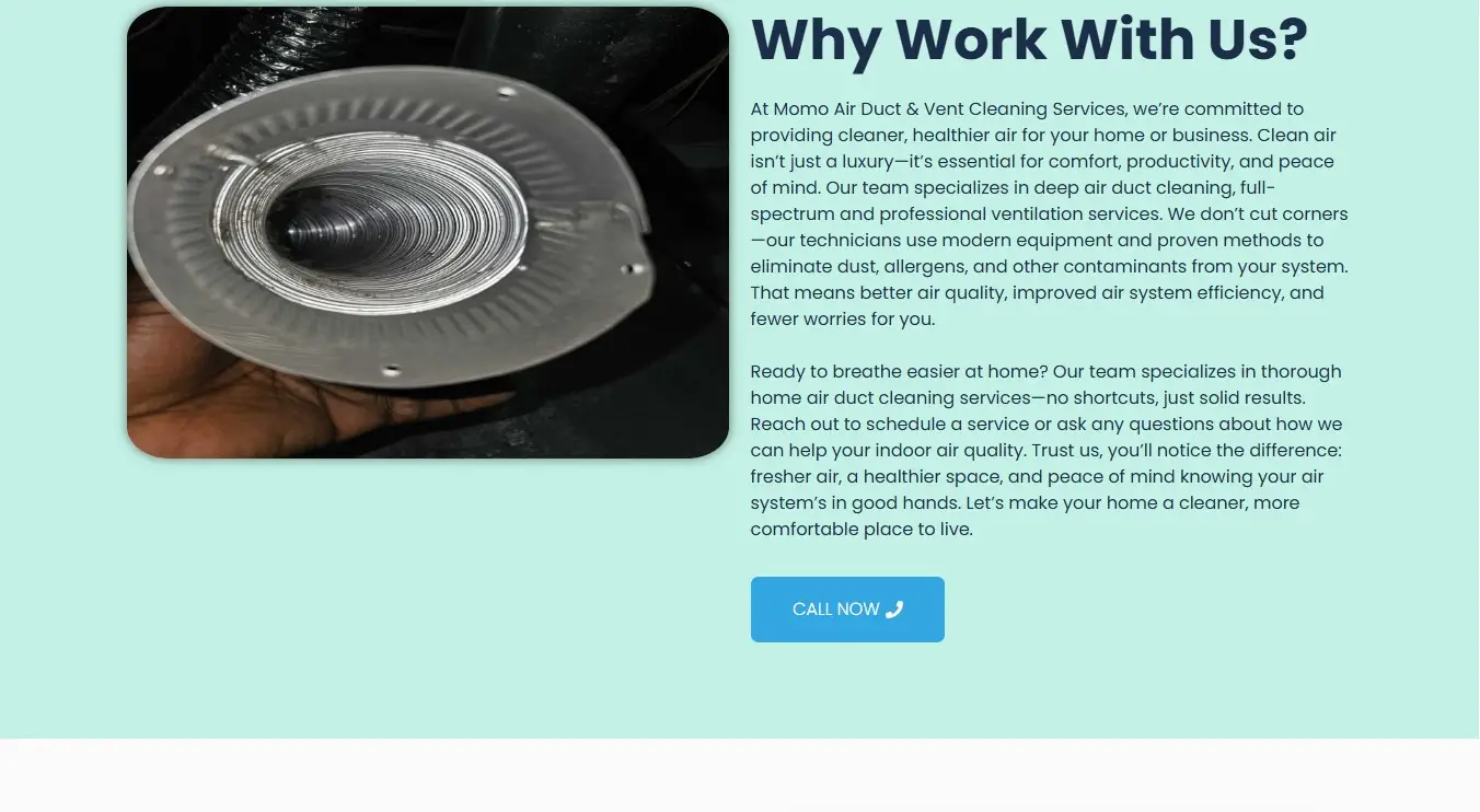 Momo Air Duct & Vent Cleaning 4