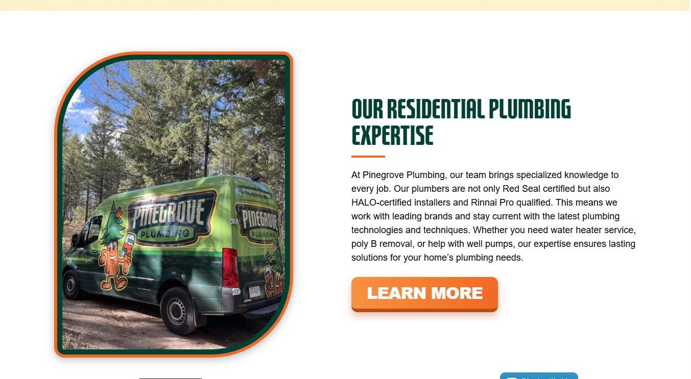 Pinegrove image 7